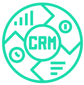 crm-icon